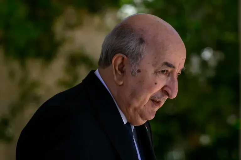 Algeria Deployed Fighter Jets to Block Niger Coup Attempt