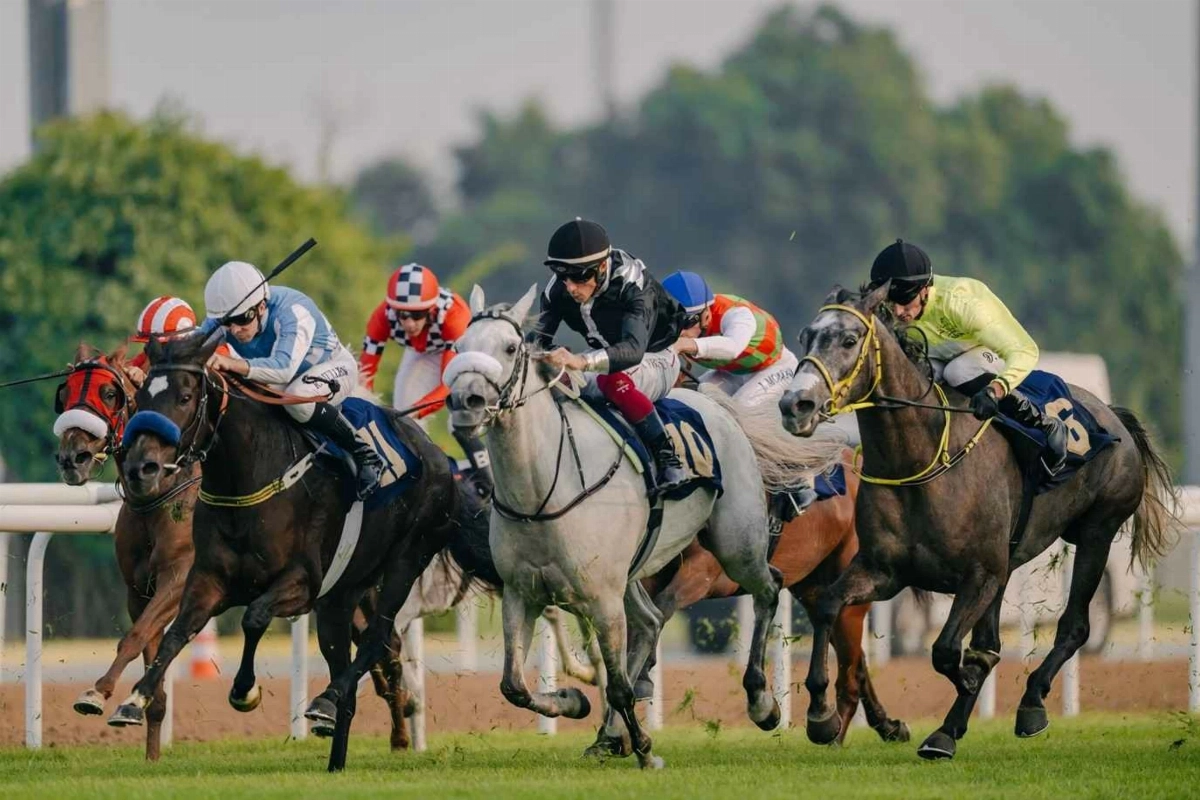 UAE Racing Season Opens Amid Golden Jubilee Celebrations